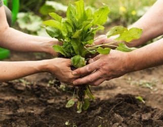 Agricultores